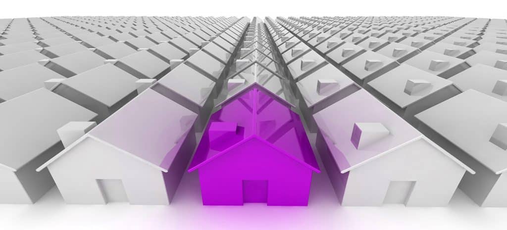 Purple House In A Field Of Grey Homes