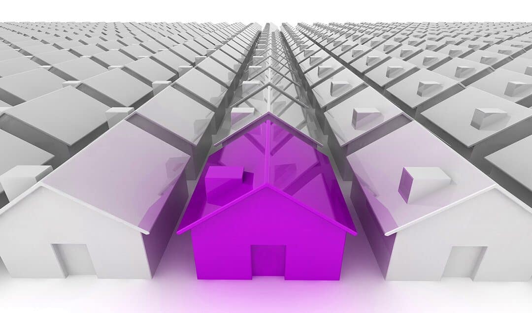 Purple House In A Field Of Grey Homes