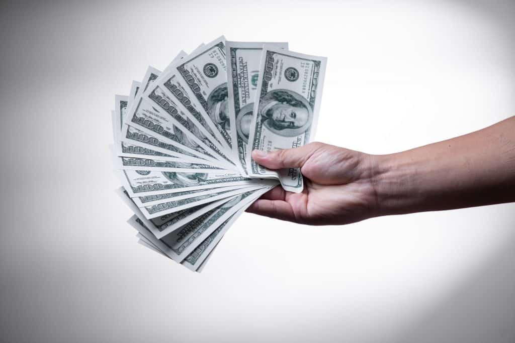 Person Holding Money
