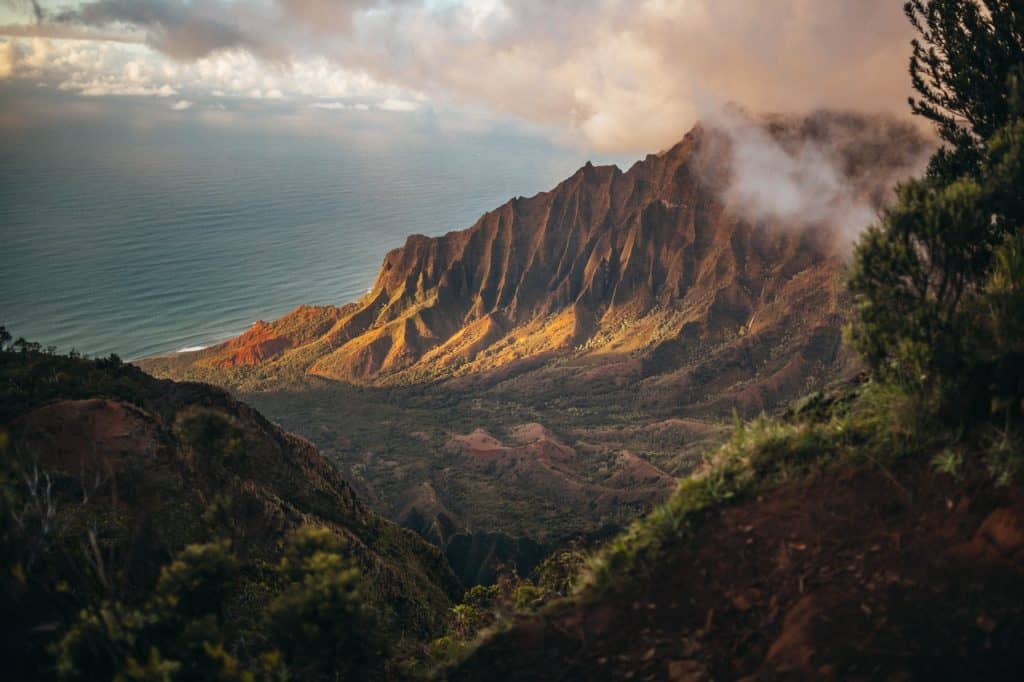 Hawaii Beach