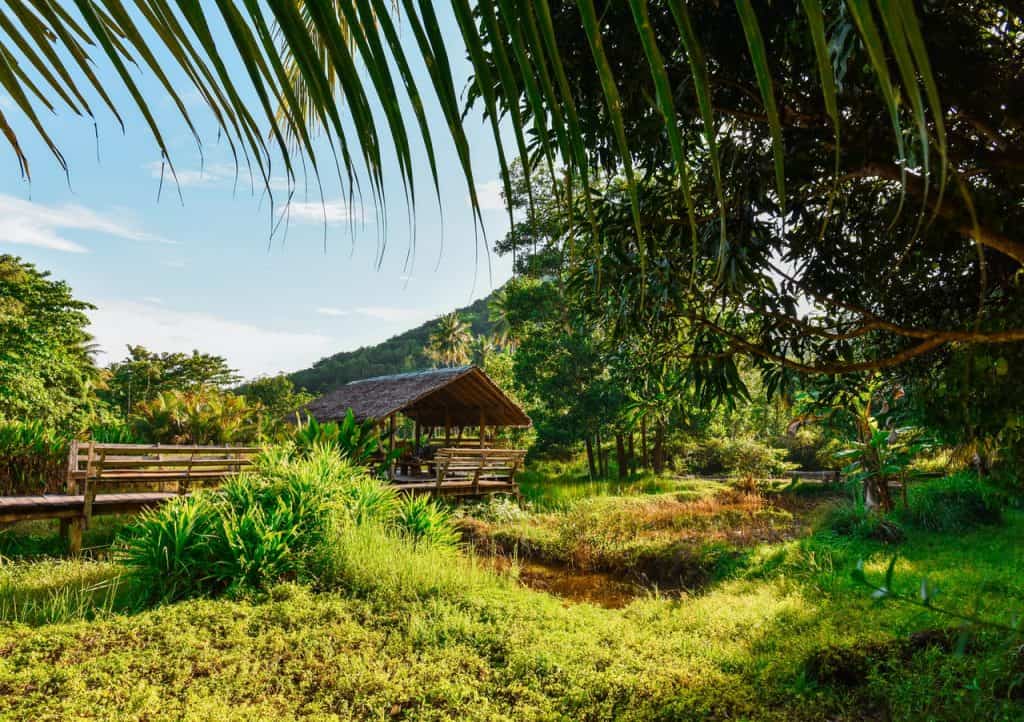 Hawaii Home