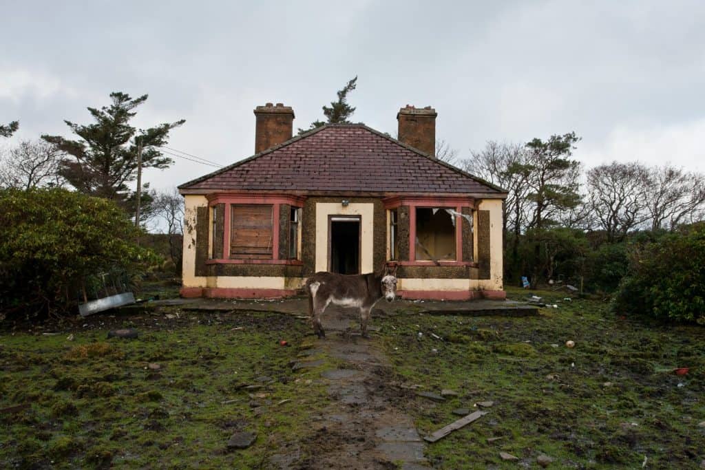 Broken Home with Donkey