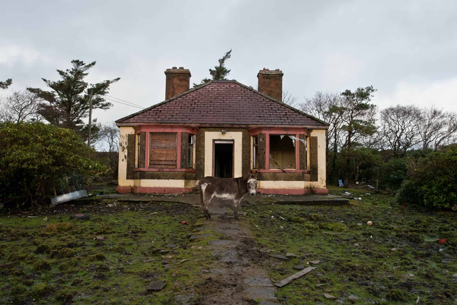 Broken Home with Donkey Broken Home with Donkey