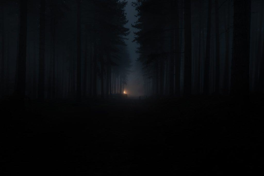 Campfire Woods Forest Fog Night