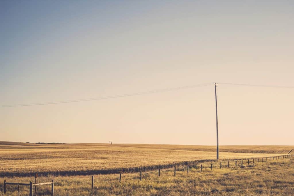 Empty Field Power Pole