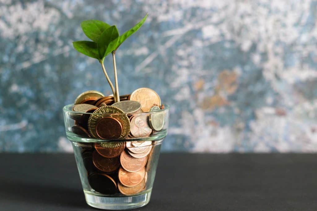 Plant Growing in a Cup of Coins