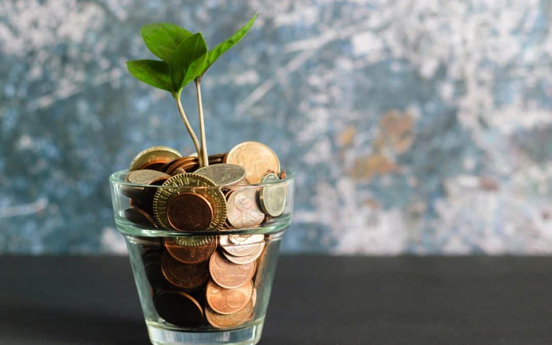 Plant Growing in a Cup of Coins