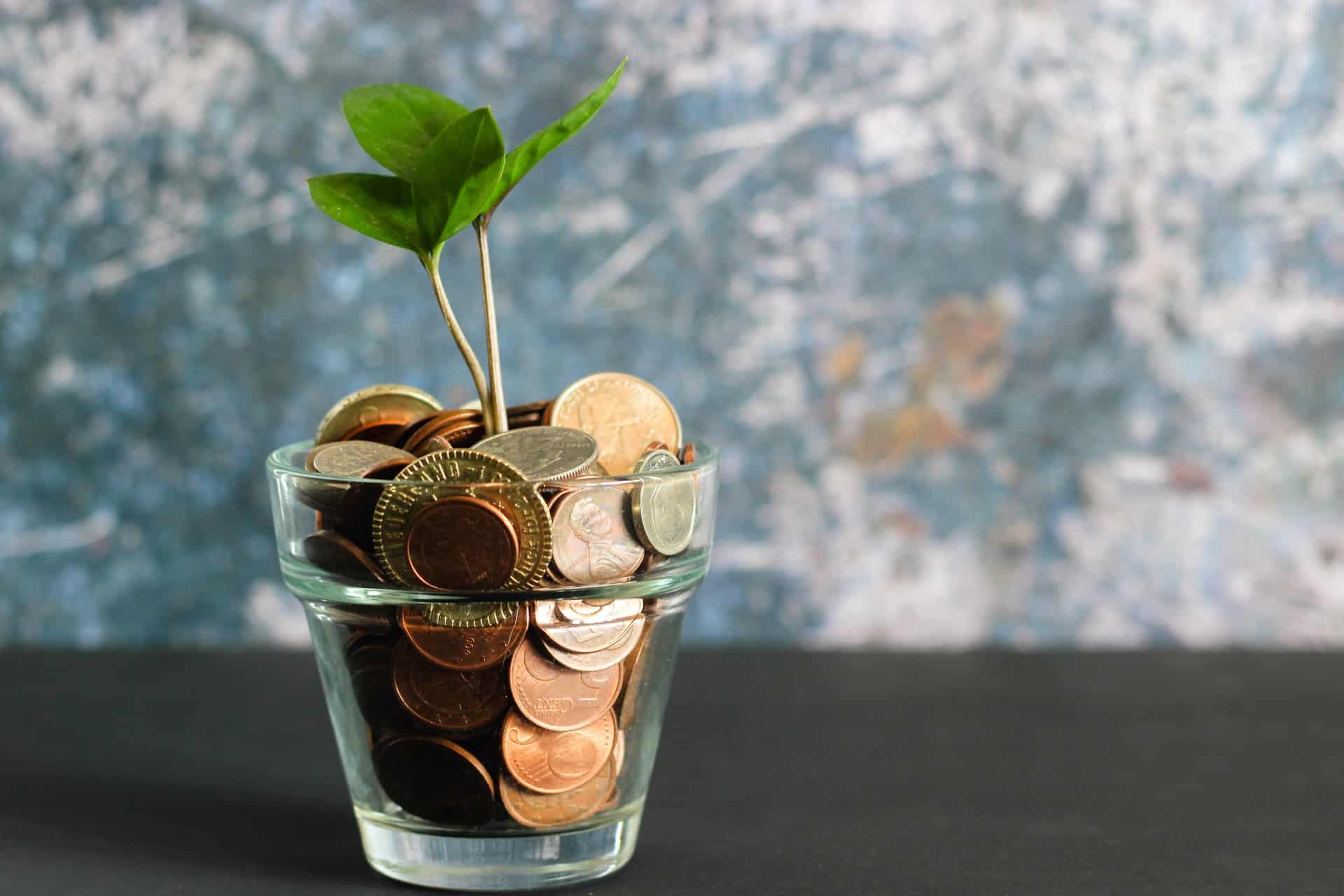 Plant Growing in a Cup of Coins Plant Growing in a Cup of Coins