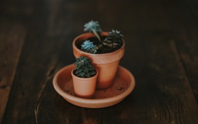 9 financial tips for new (and not-so-new) agents