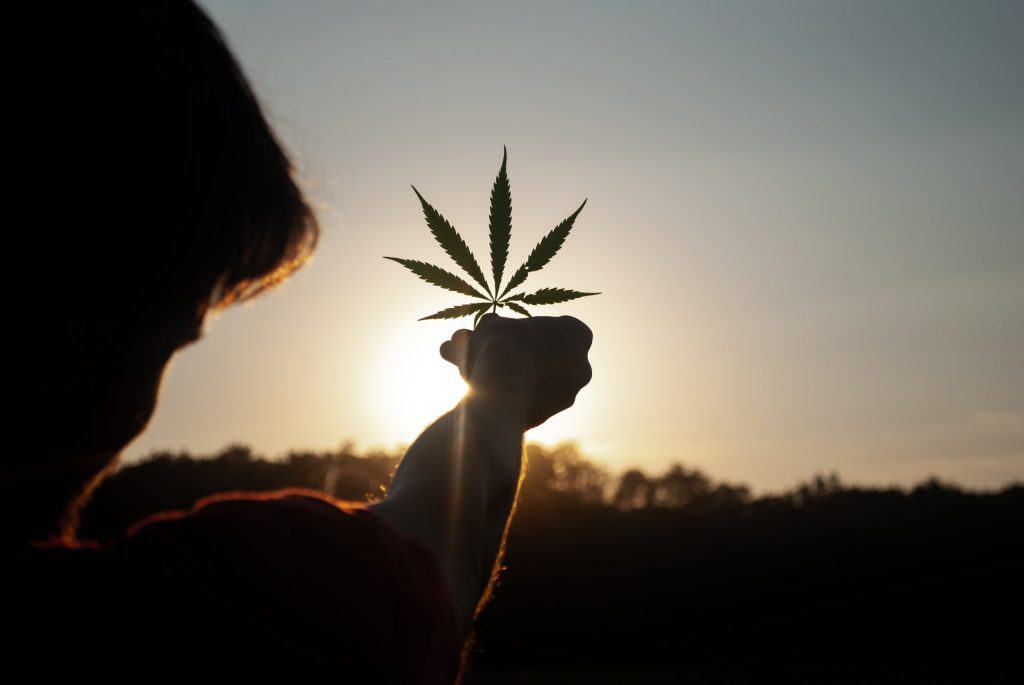 Cannabis Leaf