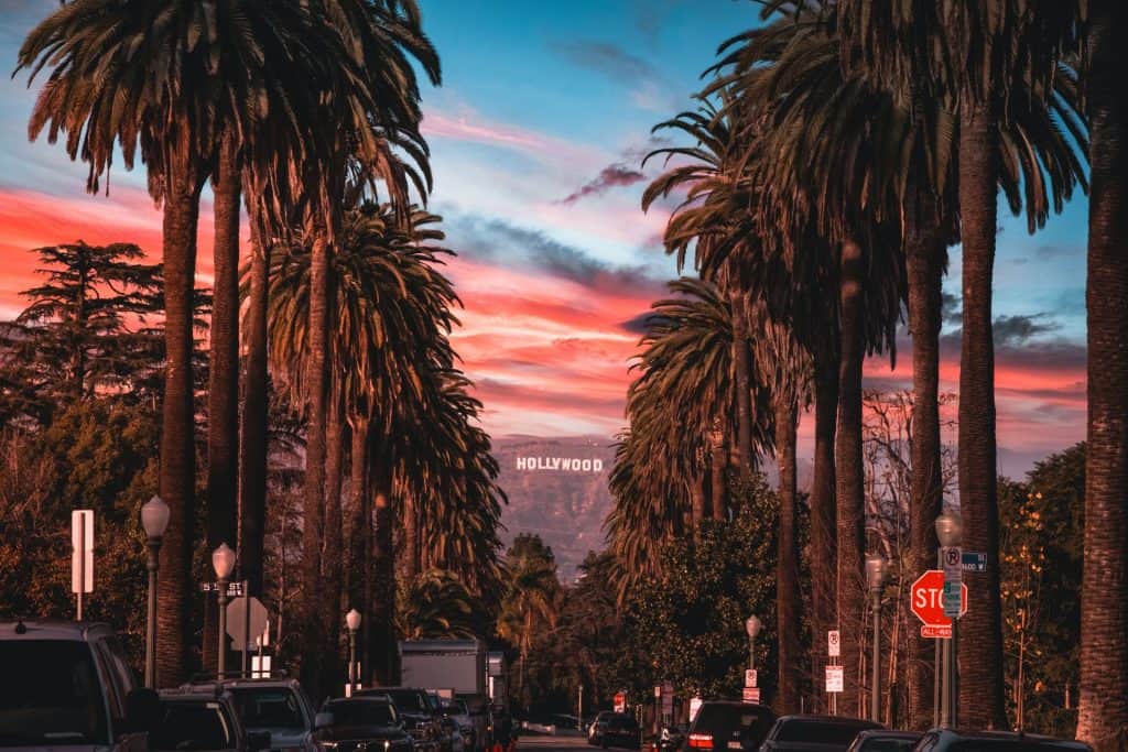 Hollywood Sign Palm Trees