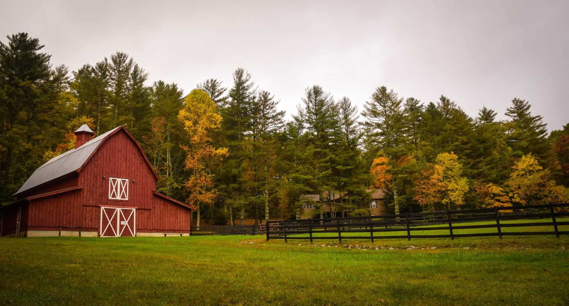 Red Barn Farm Trees Red Barn Farm Trees