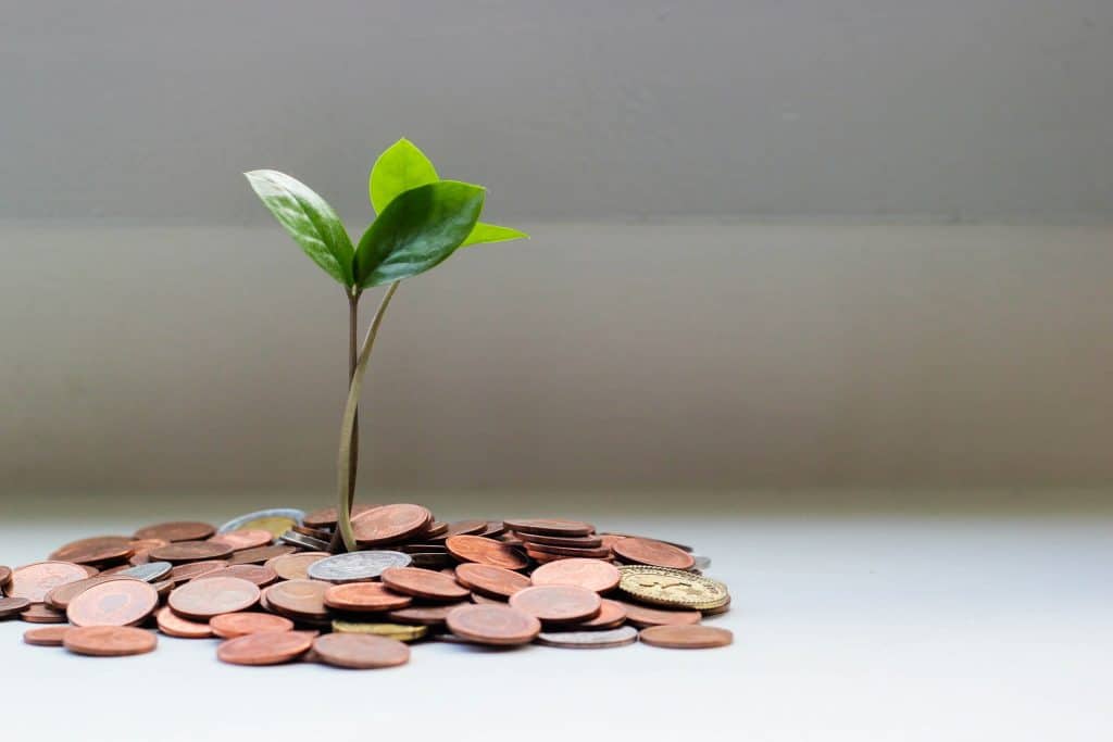 Plant Growth Money Invest