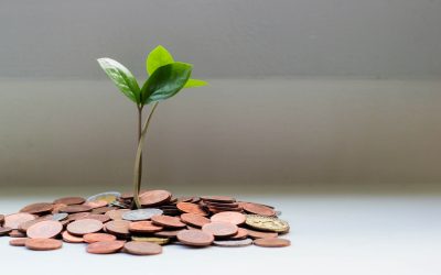 Plant Growth Money Invest