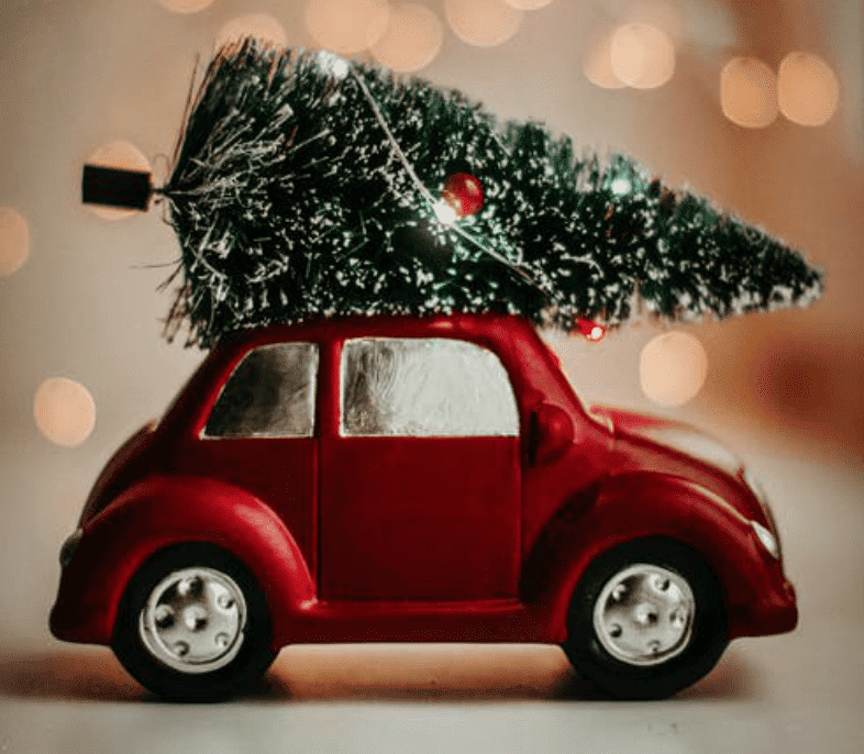 Christmas vacation rentals