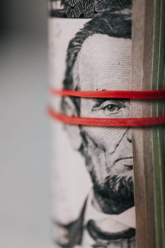 Money Government Interest