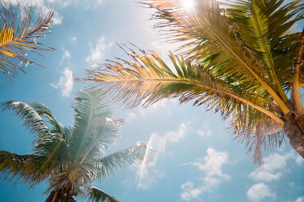 florida beach