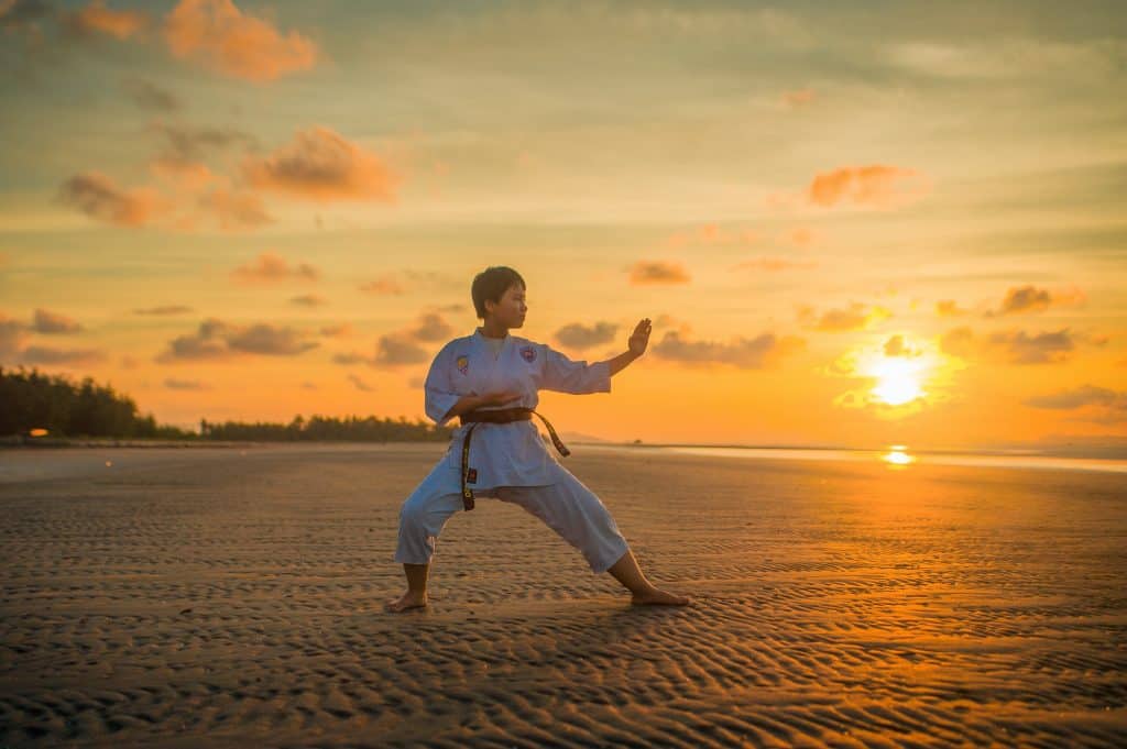 martial arts self defense