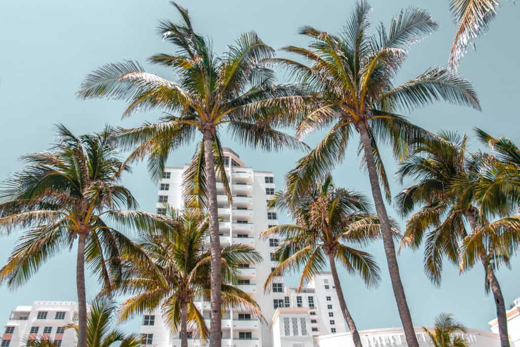 Miami housing apartment condo
