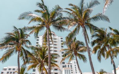 Miami housing apartment condo