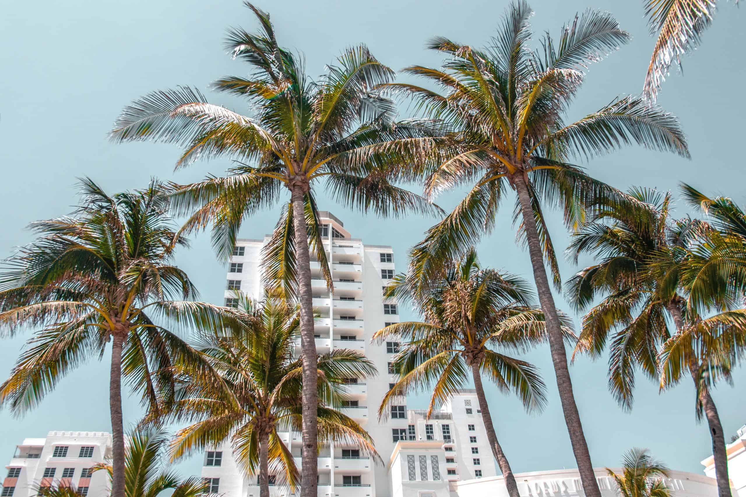 miami housing apartment Miami housing apartment condo