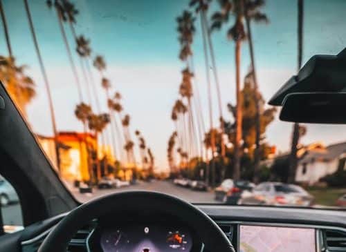 California driving trees