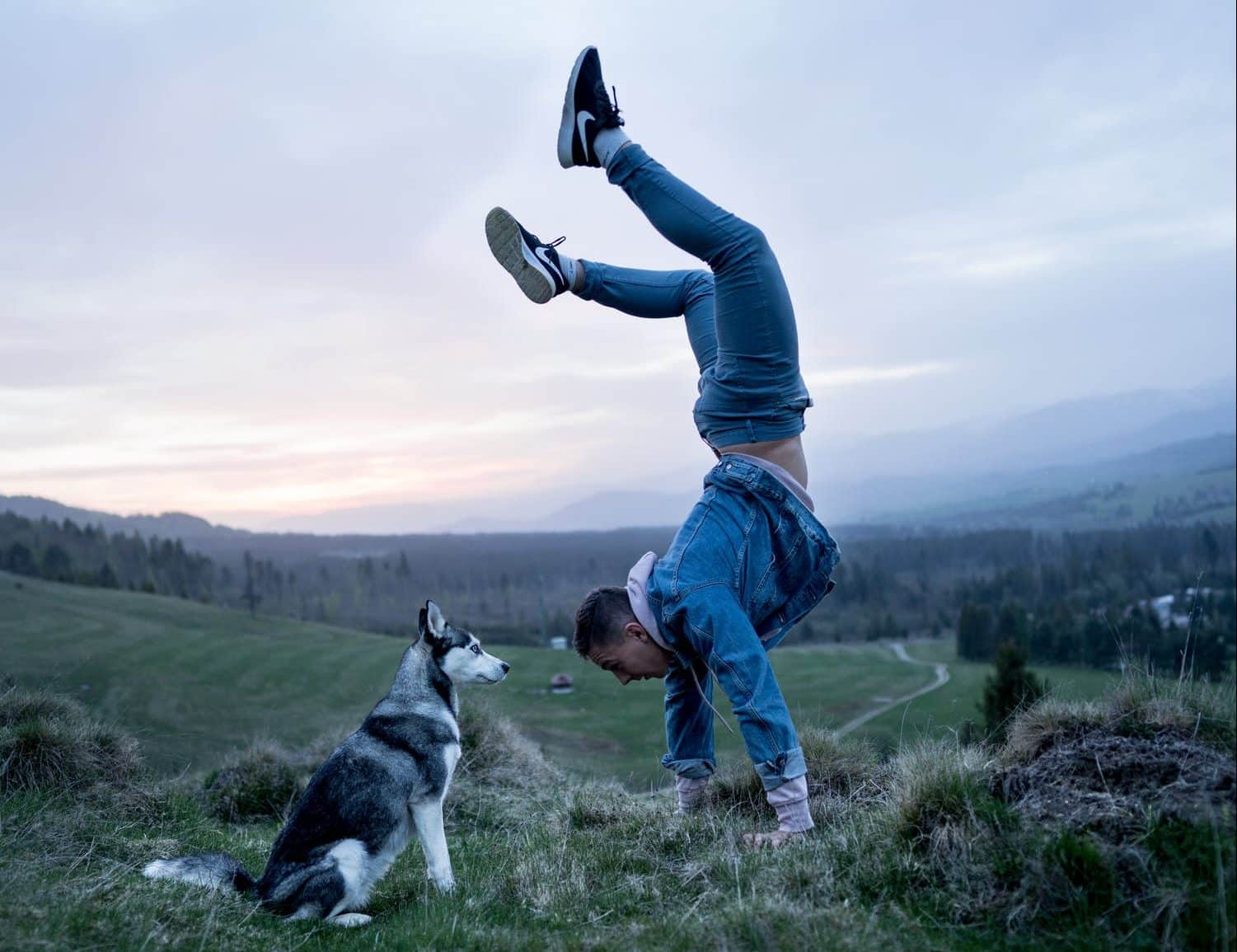 land headstand dog blue