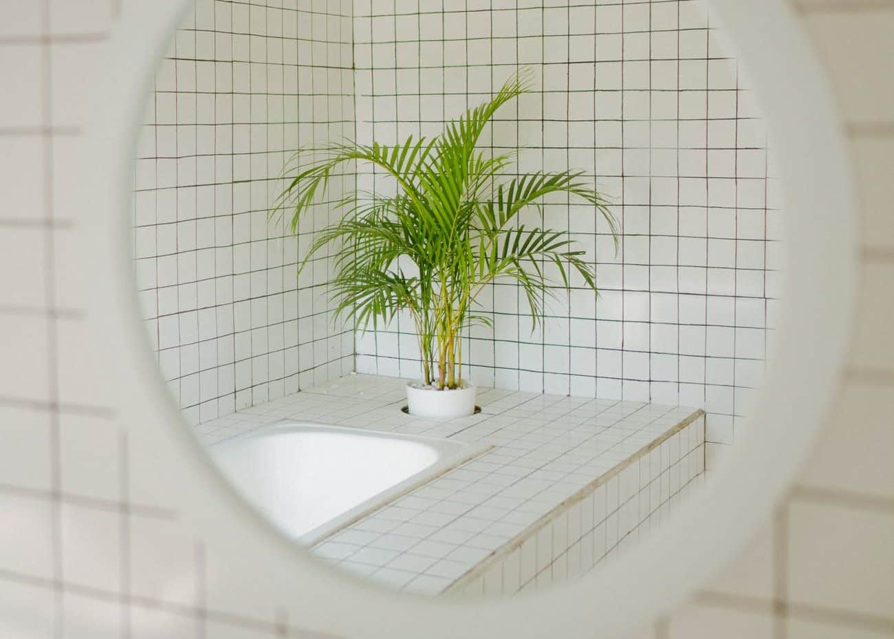mirror bath plants white