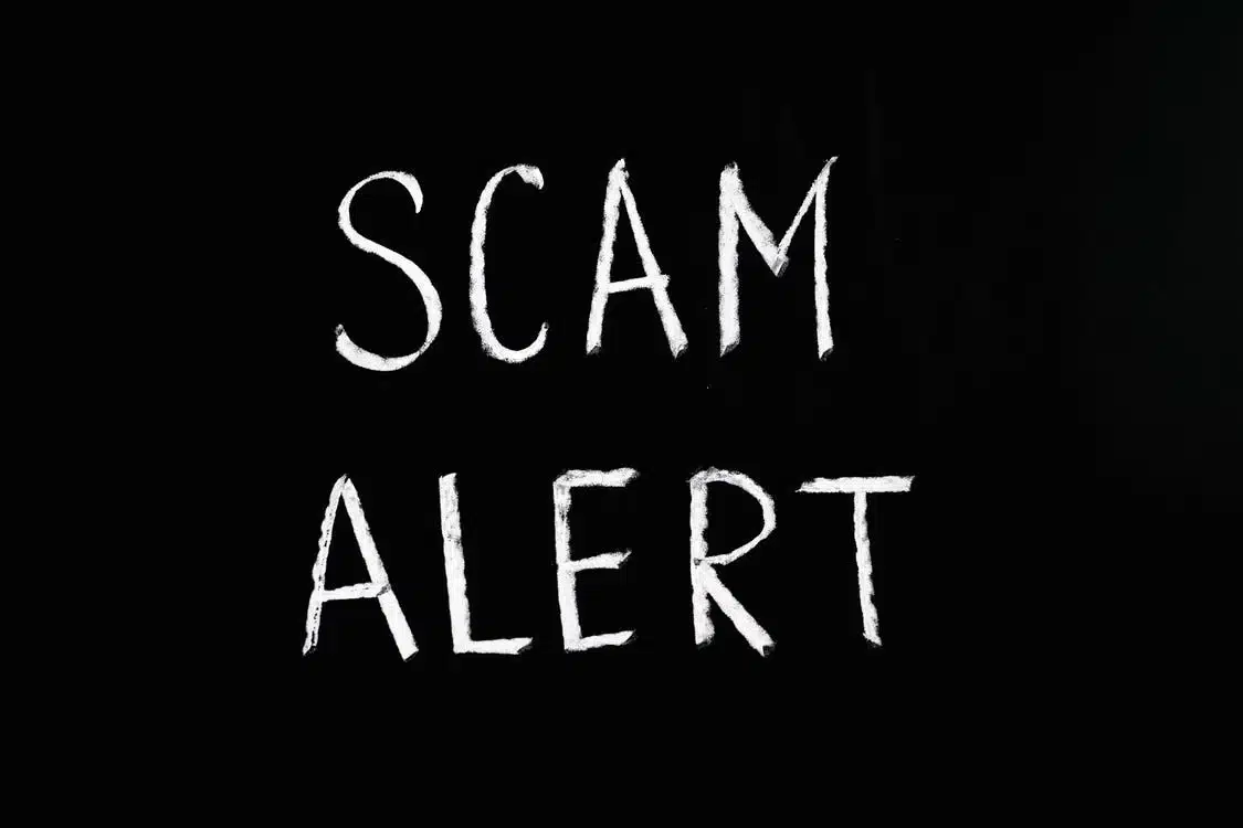scam alert black white