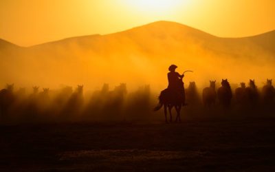 Cowboy in the Sunset Horses