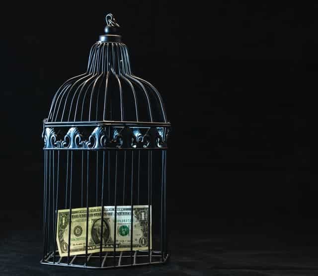 Money Dollar Cage Birdcage