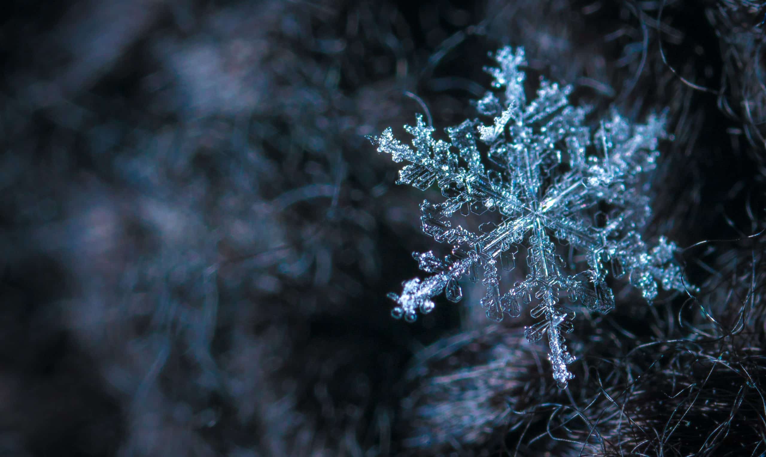 frost snowflake cold