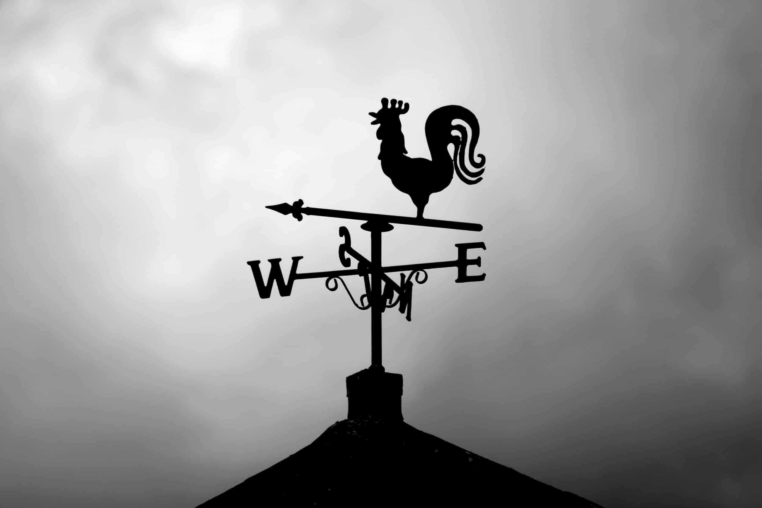 wind west east north south rooster house