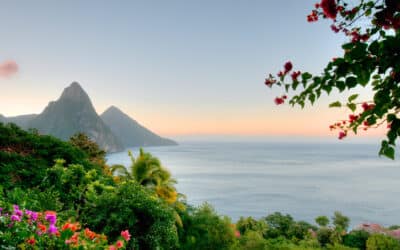 St Lucia Global Investors Seek Citizenship