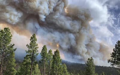 Forest Service Acknowledges Causing 2022 Cerro Pelado Wildfire