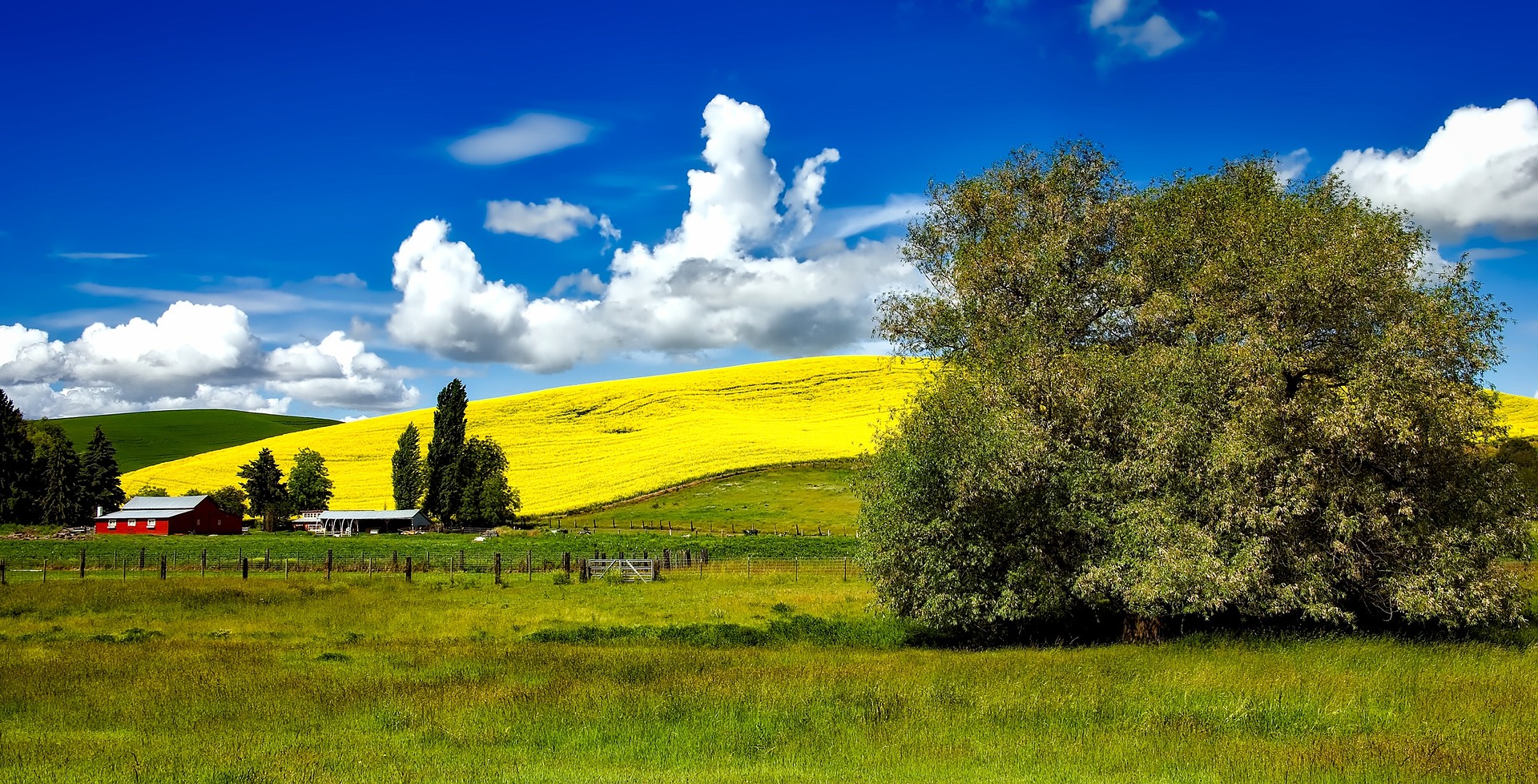 farmland