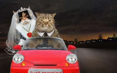Need to Give a Wedding Present? How About ‘Home Funds’?