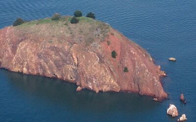 Private Island in San Francisco Bay Listed for $25 Million