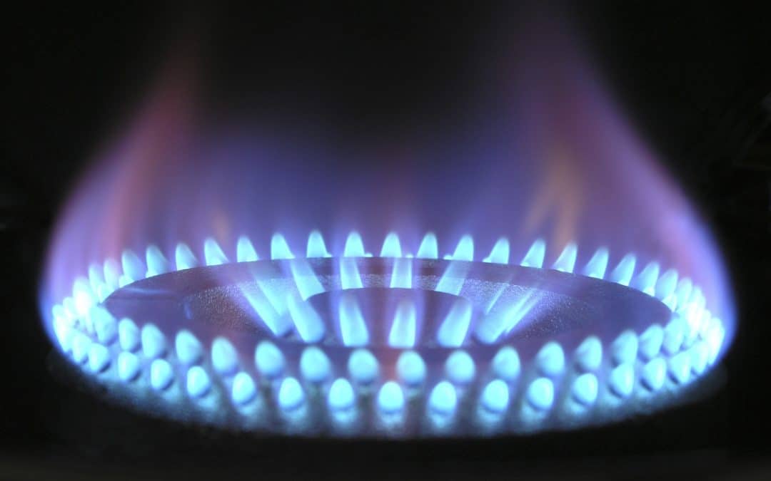 A Phil Hall Op-Ed: Score One for the Gas Stoves