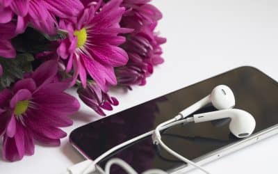 Rockwell Institute Debuts Audio Course Options