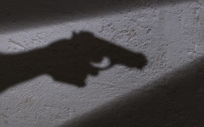 Iowa Realtor Shoots Homeowners’ Dog During House Tour