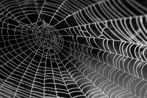 Sitzer/Burnett Plaintiff: ‘Realtors Are Controlled by a Huge Spider Web’