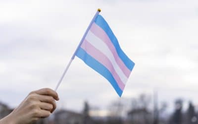 Canadian Realtor Fined $3,000 for Anti-Transgender Social Media Posts