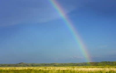 The Greenest State Is…