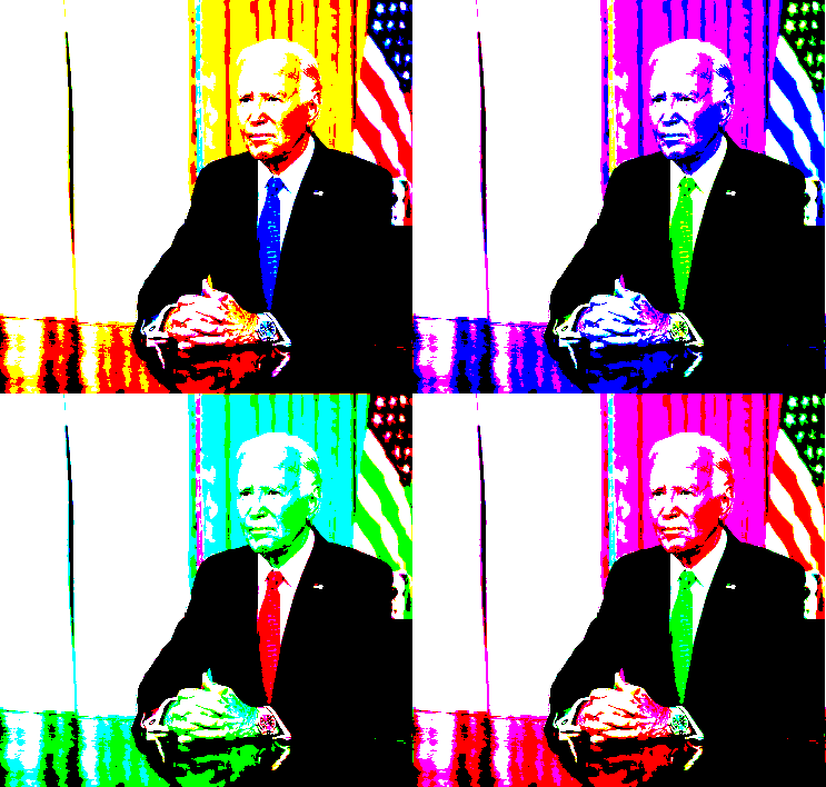 biden warhol