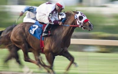 Construction Begins on Kentucky’s First Quarter Horse Racetrack