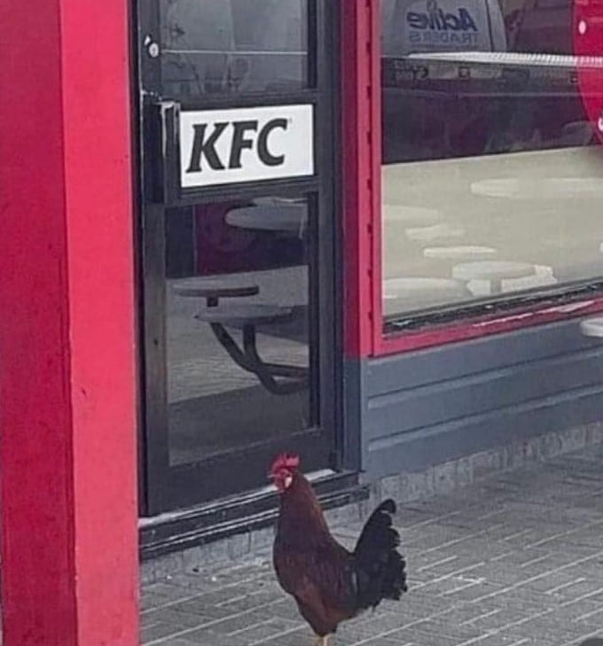 Screenshot 2024-10-17 082918