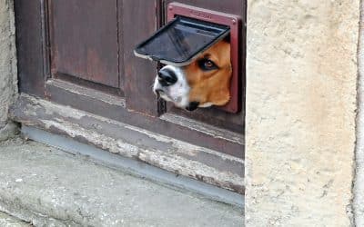 Hits and Misses for the Real Estate Week of Nov. 25-29