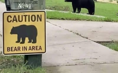 Hits and Misses for the Real Estate Week of Nov. 4-8