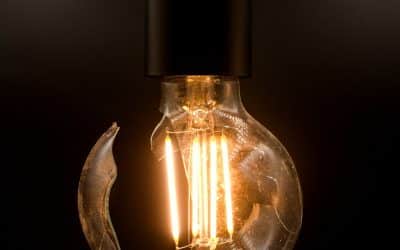 A Phil Hall Op-Ed: A Tale of Two Misguided Cities